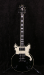 
                            D'Angelico Premier Brighton