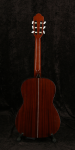 
                            Salvador Cortez SCG 534