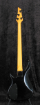 
                            Ibanez CT 